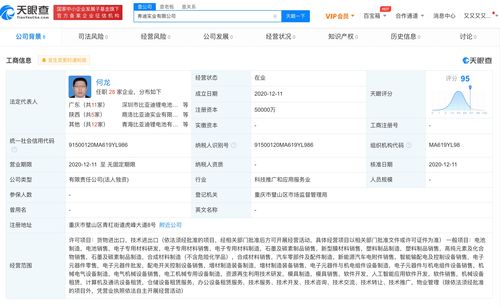 比亞迪成立弗迪實(shí)業(yè)，布局人工智能應(yīng)用軟件開發(fā)